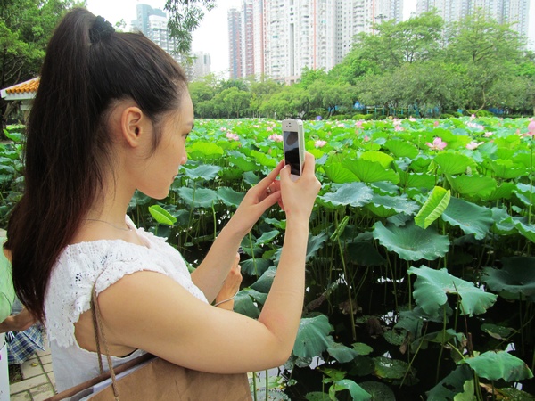 香港服装学院学员们在边观赏边拍摄美丽的荷花